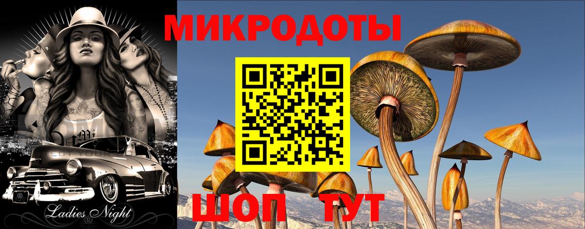 Галлюциногенные грибы ЛСД  Галлюциногенные грибы Magic Shrooms  Вход с VPN  Строитель 