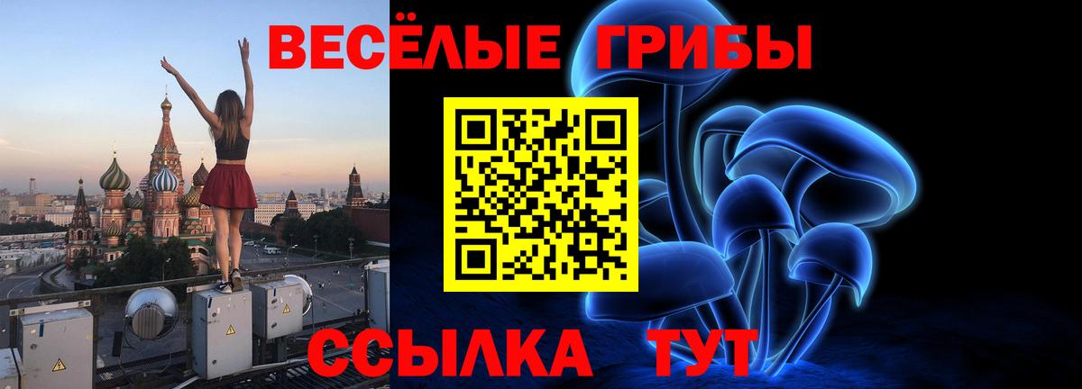 Псилоцибиновые грибы мухоморы Строитель